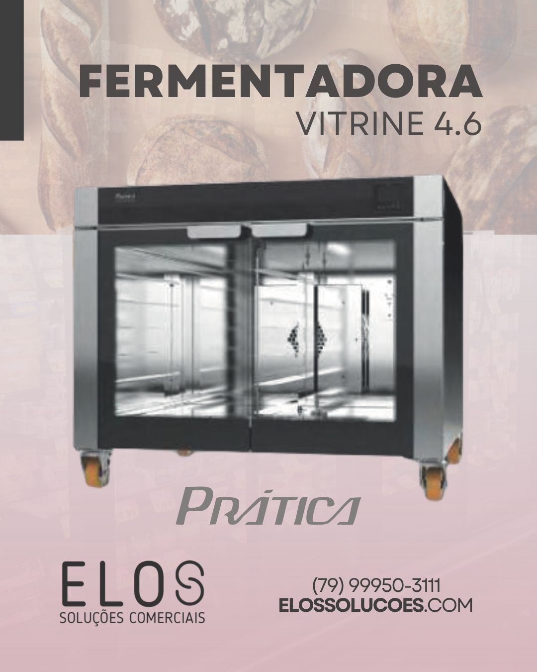 Fermentadora Vitrine 4.6